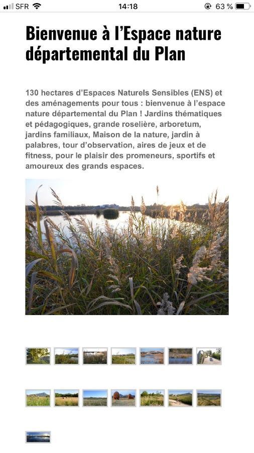 Maison "Les Vignes" Le Pradet Luaran gambar